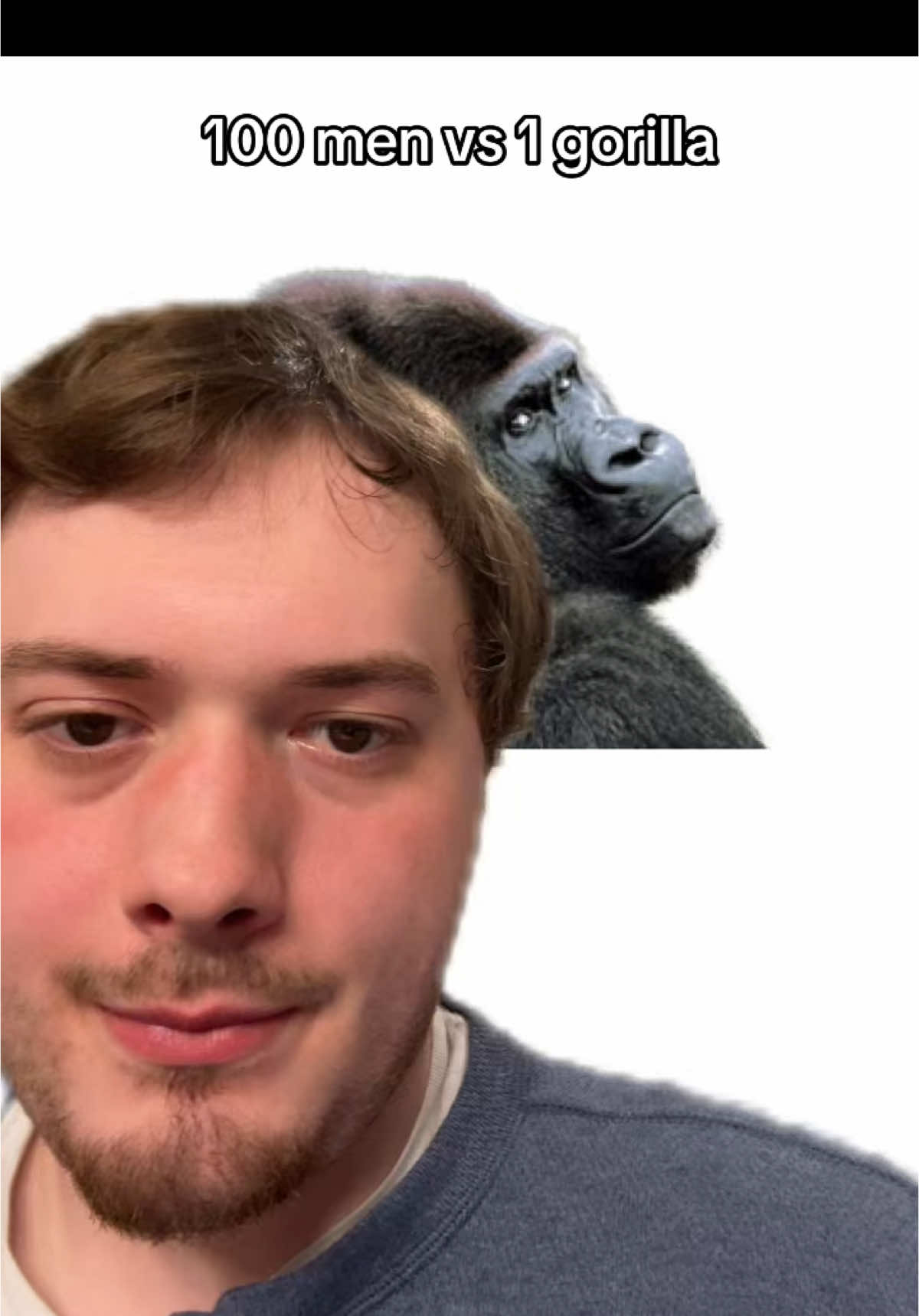 100 men vs 1 gorilla #jamison #funny #wtf #greenscreen 