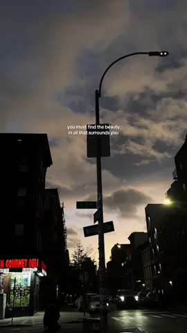 life is beautiful! go on a walk and marvel at it #nyc #cinematography #cinematics #brooklyn