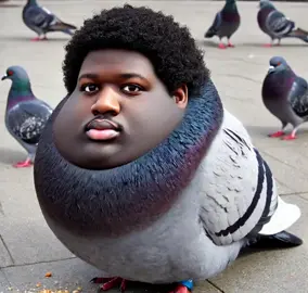 paloma triste 😭😭😭 انا احب جدتك.#PixVerse #real #aguaoxigenada #brainrot #fyp #pigeon #bird 