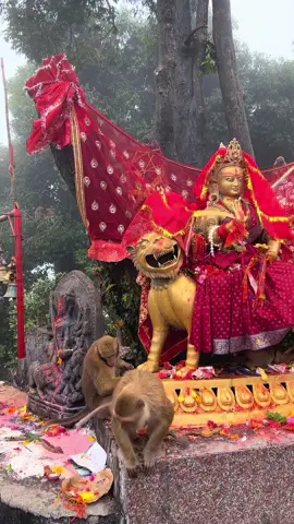 जय मां मांता पाथिभरा🙏🙏🙏❤️❤️❤️🙏🙏🙏🙏🙏#Godblessing#pathivaramata#ilam#chitwan_muser🇳🇵fypシ❤️ #fypシ゚viral🖤tiktok #fypシ゚ 