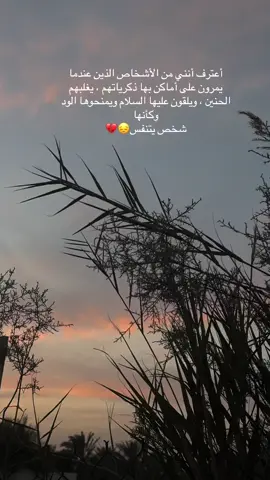 #ذيك_الايام_ماني_بناسيها #غروب #شمس #اشجار #تصويري #تصويري📸 #ايفون16 #ايفونات #p 