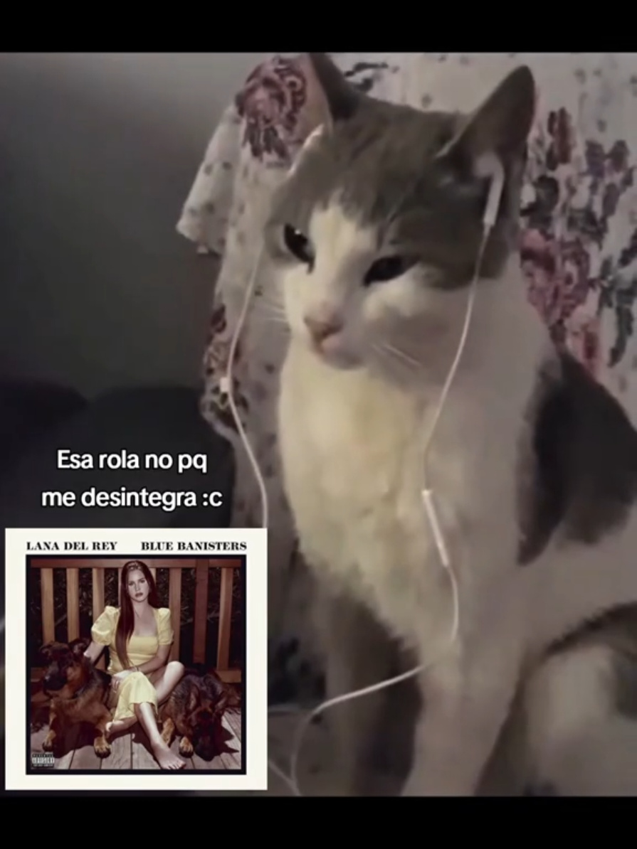 #lanadelrey #dealerlanadelrey #dealer #lanadelreyedit #bluebanisters #sadmusic 