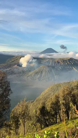 Bahan sw mu cah#bromotenggersemeru #bromo #fyp #fypシ゚ #fypage 