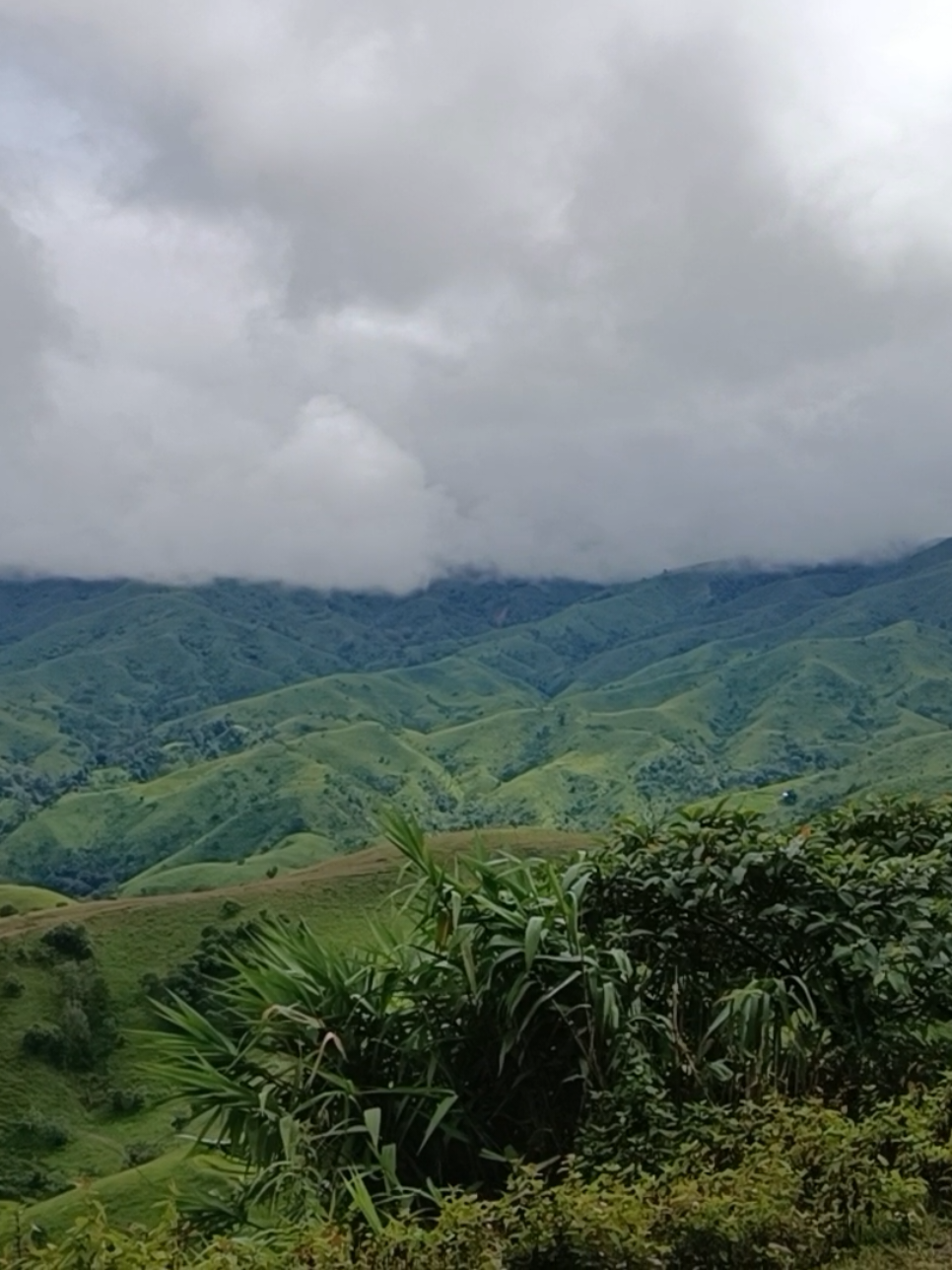 စပယ်ရှယ်တောင်ထိပ် ရှု့ခင်းလေးလှနေလို့ #ရှမ်းရှေ့ပိုင်းတစ်နေရာ #စပယ်ရှယ်တောင် #ရှု့ခင်းလေးလှလို့ #ကားသမားလေးမို့မင်းချစ်ချင်မှချစ်ပါ #ကားဆရာညီကိုများအားလုံးဘေးရန်ကင်းပါစေ #ဘယ်တော့မှရောက်မာလဲfypပေါ်က😣😒 