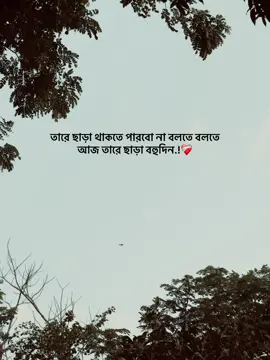 আজ তারে ছাড়া বহুদিন.!❤️‍🩹#viralvideo #foryou 