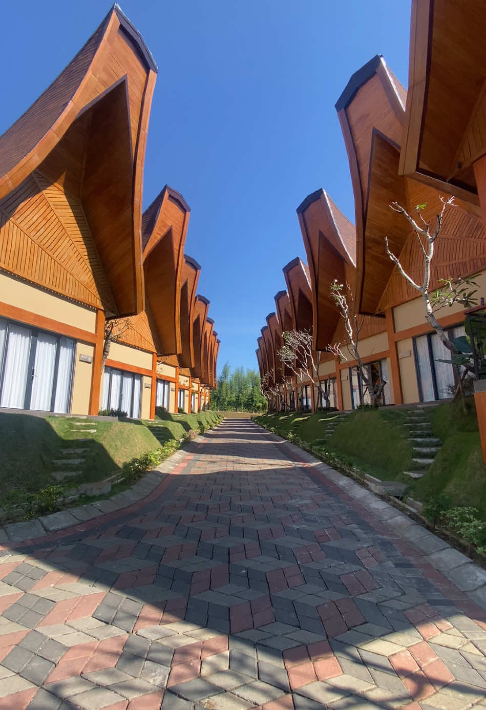 Serenity ✨🍃 #shanayaresortmalang #fypage 