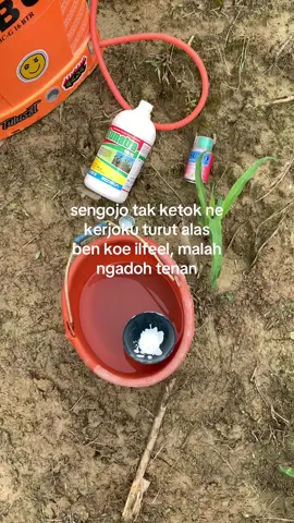 wong2 kok ora yoo😭😭#lewatberanda #fyp #bahanswmu #petanikonten #petanimuda 