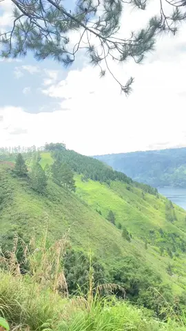 suara indahmu gak kalah dengan keindahan danau toba @VANESSA ZEE #vanessasimorangkir #vanessenceoficial #indonesianidol #borupanggoaran #lagubatak 