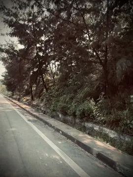 “静静地生活，静静地悲伤，在无人知晓的失去中静静地成长。” “Lặng lẽ sống, lặng lẽ buồn, lặng lẽ trưởng thành trong những mất mát chẳng ai hay.”