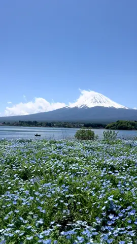 The most beautiful day at Mount Fuji