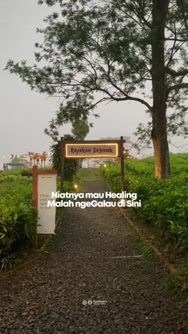 Cung yang belum ke sini ? ☝🏻 #sukabumi #sukabumihits #sukabumiexplore #kabut #placetogo #sukabumiupdate #kebunteh #fyp #fypシ゚ 