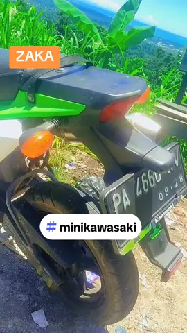 #nice #perfect #kawasaki #mini so nice picture 