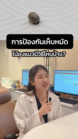 คุณหมอใบปอมีคำแนะนำดี ๆ สำหรับทาสแมวทุกคนค่ะ 🐾 • วิธีป้องกันเห็บหมัดให้น้องแมวอย่างถูกต้อง • เทคนิคช่วยน้องแมวที่ดื่มน้ำน้อย ให้สุขภาพแข็งแรงยิ่งขึ้น 💧 เพื่อป้องกันปัญหาเห็บหมัดระยะยาว อย่าลืมดูแลน้องอย่างสม่ำเสมอทุกเดือนนะคะ หากไม่อยากกังวลเรื่องลืม หรืออยากให้น้องได้รับการดูแลที่ถูกต้อง คุณหมอทุกสาขาพร้อมดูแลน้อง ๆ อย่างใส่ใจ ที่ Hato Animal Hospital ค่ะ 🤍 #ป้องกันเห็บหมัด #แมวดื่มน้ำน้อย #HatoAnimalHospital #โรงพยาบาลสัตว์ฮาโตะ #สัตวแพทย์ฮาโตะ #สัตวเลี้ยงtiktok #สุขภาพหมาแมว #ป้องกันเห็บหมัดพยาธิในสุนัขแมว 