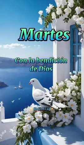 #martes#conlabendiciondedios🙏🙏❤🤲🥰✨🎆 #paratiii #shane19723🇧🇪♥️🇪🇨 #buenosdias #frasesbonitas #mensajesmotivadores🌹🌸🥰✨🍀💯🔥 #alegres #positiva #bendiciones #mensajesmotivadores🌹🌸🥰🥹✨🍀💯🔥 