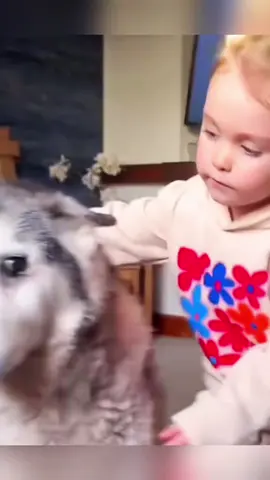 The dog loves the kids 🥰  #us #usa #dog #pet #cute #Love #human #Foryou  #funnyvideo #baby #cute #love