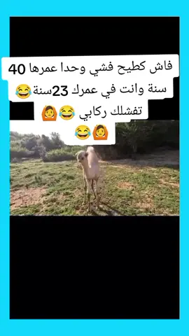 #mlmostaj #ديما #نشاط #تفواج #tiktok 