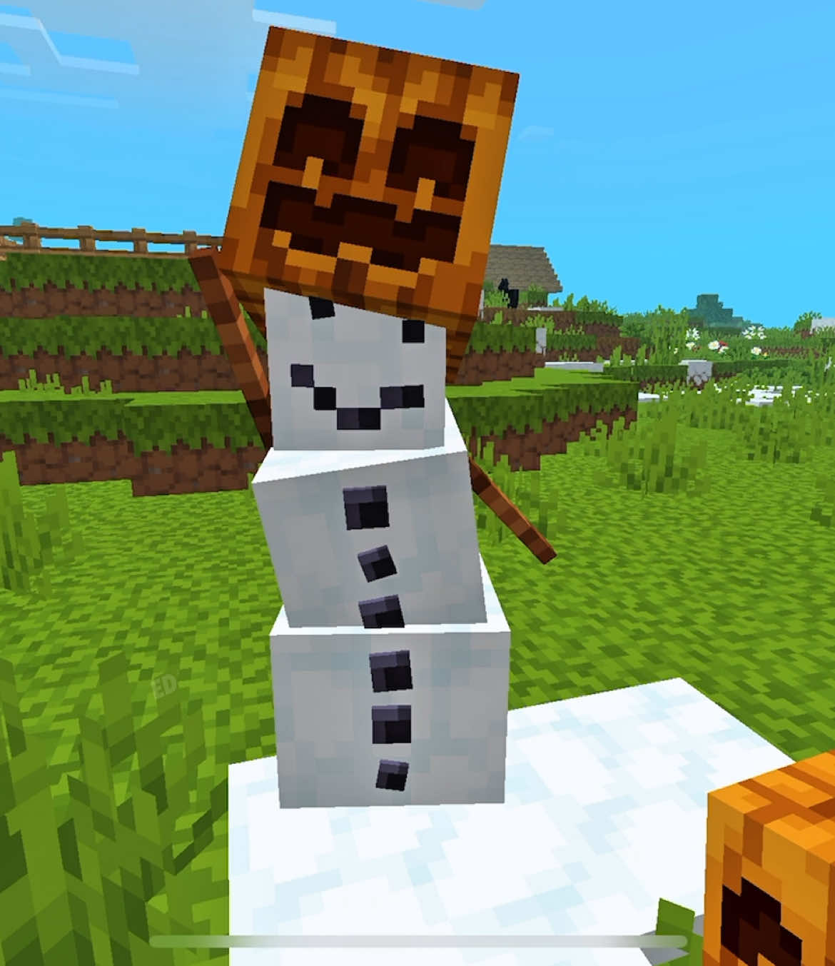 Actions&Stuff #Minecraft #fyp 