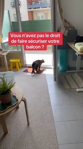 Vous n’avez pas le droit de faire sécuriser votre balcon ? Aucun problème, je sécurise la porte-fenêtre. 😉 #securite #chat #protection #appartement #immeuble #balcon #fenetre #portefenetre #artisan 