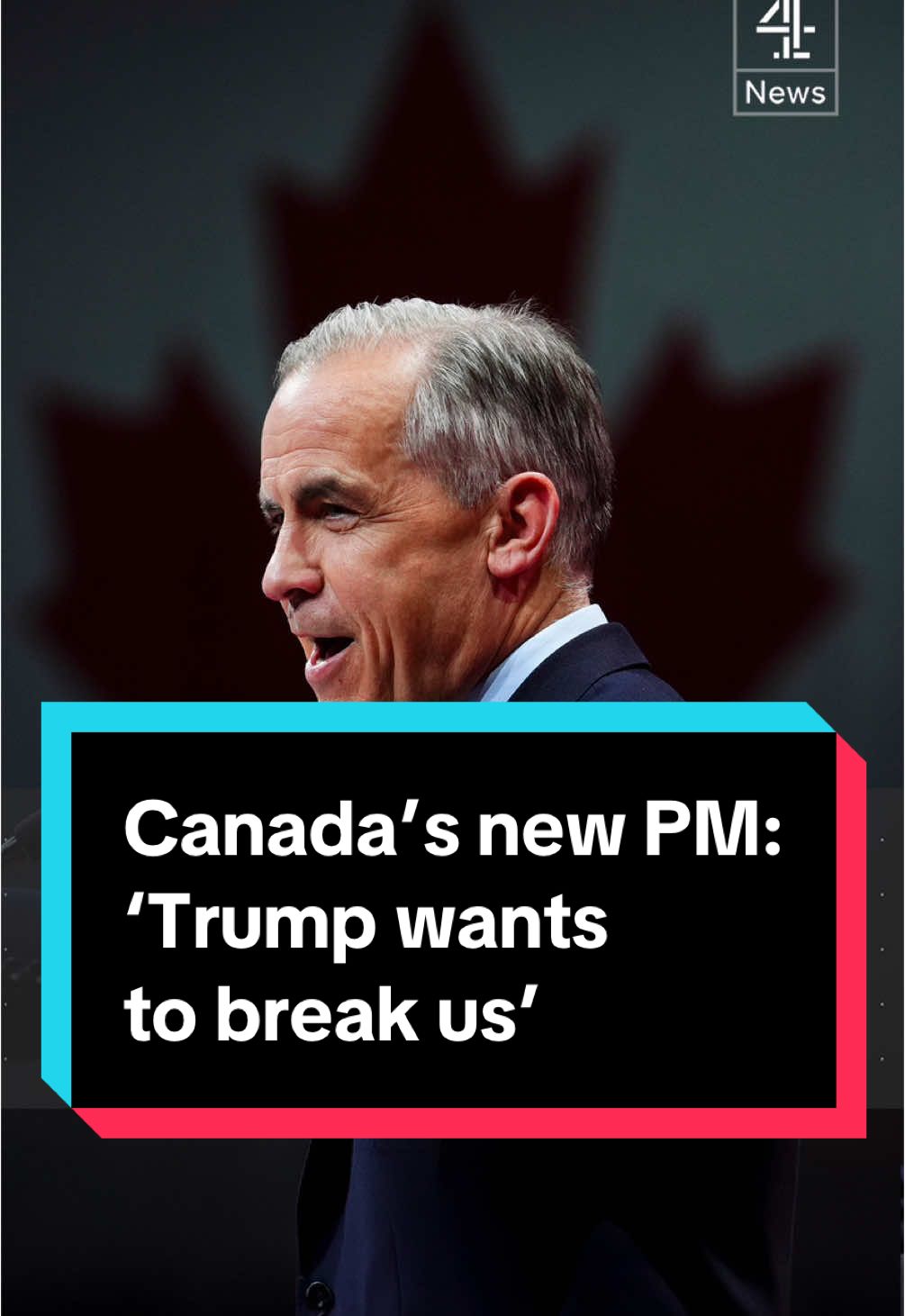 Mark Carney's Liberal Party has won the election in Canada in a stunning comeback fuelled by Donald Trump's annexation threats and trade war. In a victory speech Mr Carney said: 