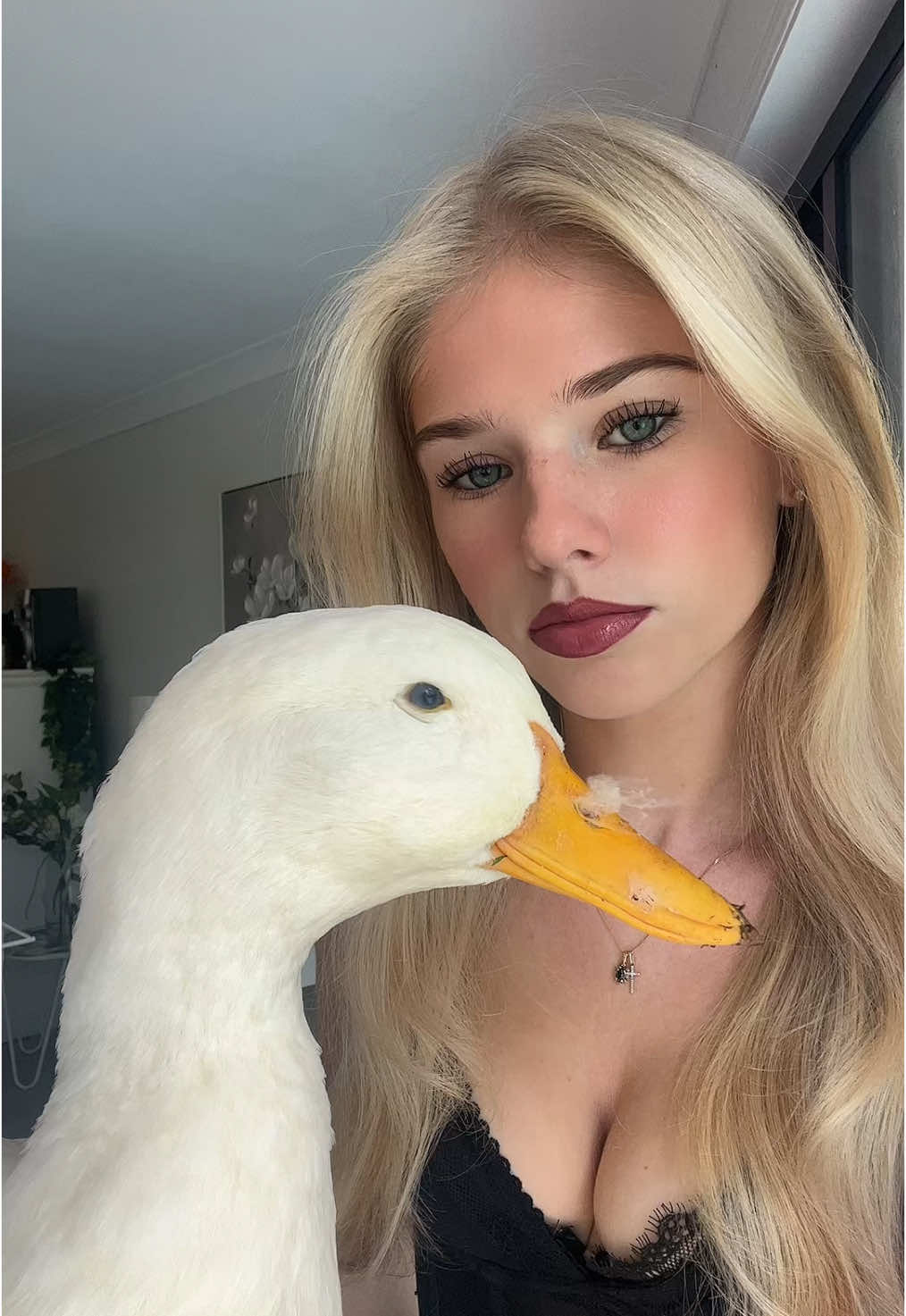 ducky #duck 