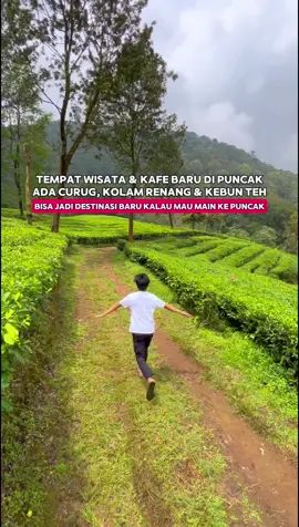REKOMENDASI TEMPAT WISATA & CAFE BARU DI PUNCAK !  Wah ternyata ada tempat liburan & camping yg enak bgt. Punya view gunung, kebun dan sering berkabut juga lho.  HTM Kunjungan: 20K HTM Camping: 30K Cuma 20rb kalian bisa kesini, melihat kebun teh hingga curug Atau pun berenang. Adapun fasilitas nya seperti, seperti Cafe, ATV, Flying Fox, Kolam Renang, dan bisa ke Curug lho.  Karena disini tempat camping paling atas di Puncak Bogor. Jadi disini sering bgt berkabut pokoknya enakeun!. ~~~~~~~~~~~~~~~~~~ Pinus Eco Park Official @pinus.ecopark  Lokasi: Jl. Raya Puncak - Cianjur No.Km 86, Tugu Sel., Kec. Cisarua, Kabupaten Bogor, Jawa Barat 16750 Jam buka: HTM Hanya Wisata : 20K HTM Camping : 30K Reservasi: 0813-2403-8870 GMaps: Pinus Eco Park Camping Ground ~~~~~~~~~~~~~~~~~~~ #bogorianmedia #bogorinside #bogor #puncakbogor #pinusecopark 