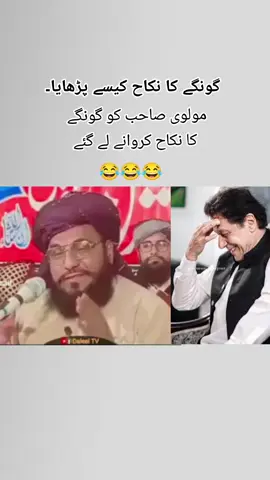 molvi ko gongy ka nikah parbany lay gaye#foryou #foryou #fypage 