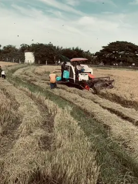 Bươn trải mới biết mùi đời, khó khăn mới biết đường nhiều đắng cay. Sa cơ mới thấm chữ tình, gian nan mới biết bên mình còn ai#abcxyz#xuhuongtiktok#đời#pyp#tiền 