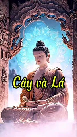 🧘‍♂️ Lời Vàng Phật Dạy: Cây và Lá !🌼 #PhậtPháp #BìnhAn #GiácNgộ #TâmLinh #SốngChậmLại