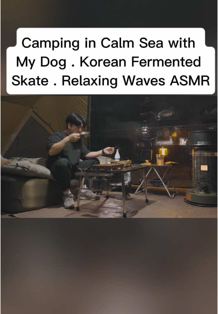 Camping in Calm Sea with My Dog . Korean Fermented Skate . Relaxing Waves ASMR#campinglife #camping 