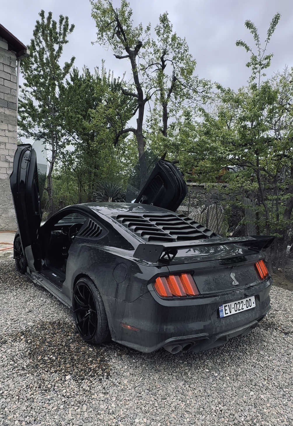 #marneuli #gürcistan #shelby #shelbygt500 #mustanggt #gürcüstan #gt500 #mustang #roush #drift #tbilisi #batumi #istanbul🇹🇷 #istanbul #türkiye #azeribaijan #georgia🇬🇪 #georgia 