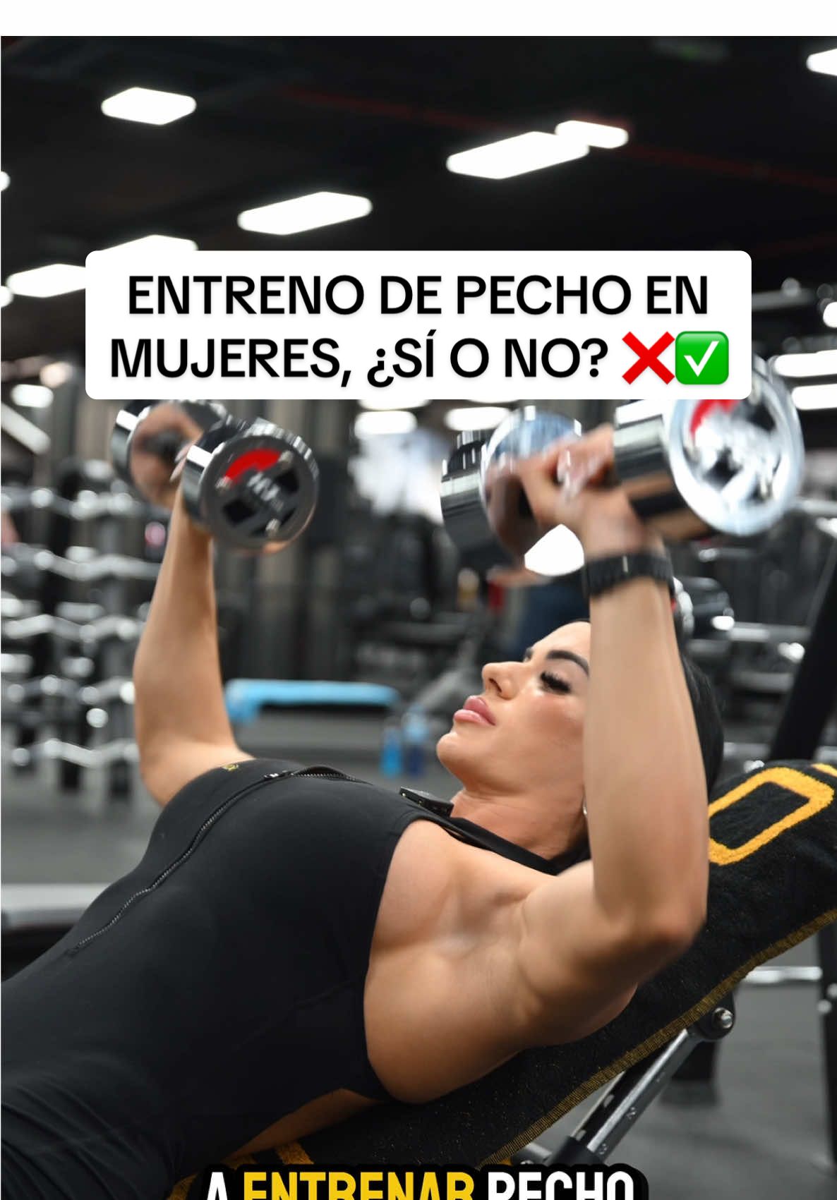 ¿ENTRENAR PECHO VA A HACER QUE CREZCA? 🤔 No importa cuántas repeticiones de press de banca hagas, ni cuántas flexiones incluyas en tu rutina… el tamaño del pecho no va a aumentar entrenando si eres mujer… ¿Por qué? Porque el pecho está compuesto en su mayoría por grasa, no por músculo. Lo que sí puedes fortalecer es el pectoral que está debajo, y eso puede darle una apariencia más firme o levantada, pero no lo va a “hacer crecer” y hará separar tus mamas ❌ Aquí la única solución es 🚑😅 En mi caso personal nunca entrené pecho por este motivo, os leo a vosotras contadme vuestra experiencia 👀 Os recuerdo que tenéis descuento en todos mis suplementos de @iO.GENIX (-10% ALIROMERO) #pectoral #fitnesstips #gymmotivation