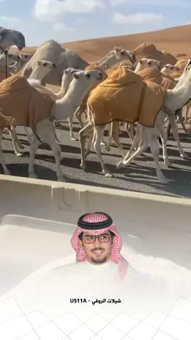 قريباً بصوت خالد ال بريك على قناتي في اليوتيوب #شيلات_الروقي 🤌🏻