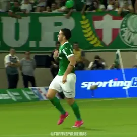 EMILIANO MARTÍNEZ #palmeiras #emilianomartínez