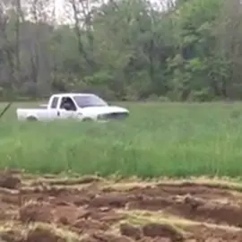 Cowbelly Video 104 #plowing #farming #goldenretriever #dog #driving