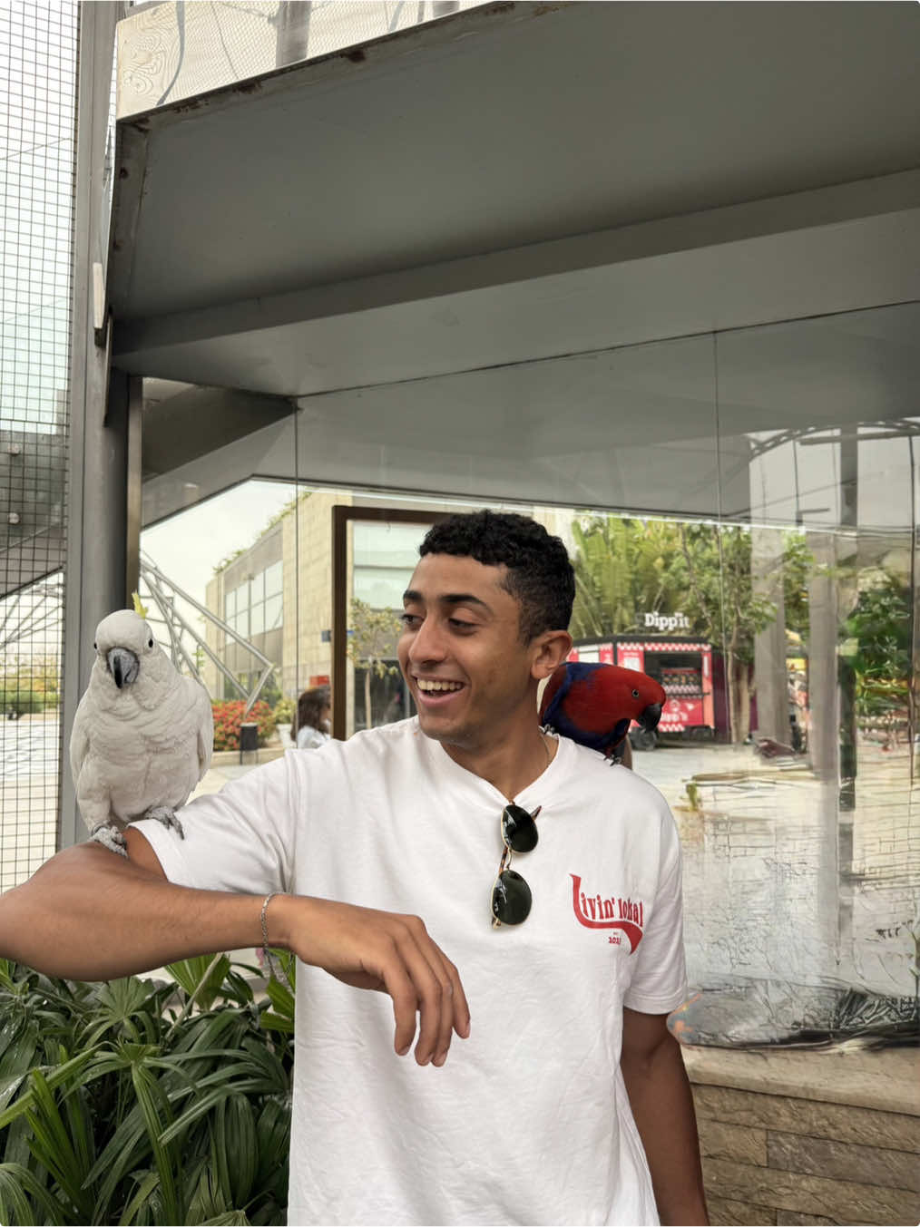 10/10 experience ✨@Walk of cairo , @Artistique , @Museum of Illusions Cairo , @Tails of Cairo 🦜 @Fly✈️ 🤩🤩🤩 #moesfamily🔒 #fypシ #viralvideo #viral 