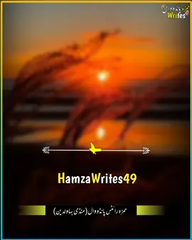 #foryou #foryoupage #hamzawrites49 #saportallbaradar #standwithkashmir @Khawar Writes Pandowal @Huraira Pandowal @حمزہ رائٹس @iTX IRFAN RAJPUT😎🦅 @karvaneabubakar official 
