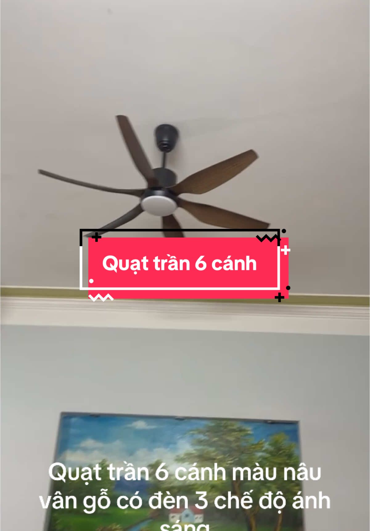 Mẫu quạt trần 6 cánh màu nâu vân gỗ phù hợp lắp mọi loại trần ạ #quattran #quattrangtri #quattranden #quattrandencaocap #quattrangtritet 
