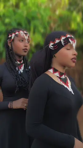 #challenge #fifiye16❤ #@ንግስቲቷ👸 🇸🇴🦋 