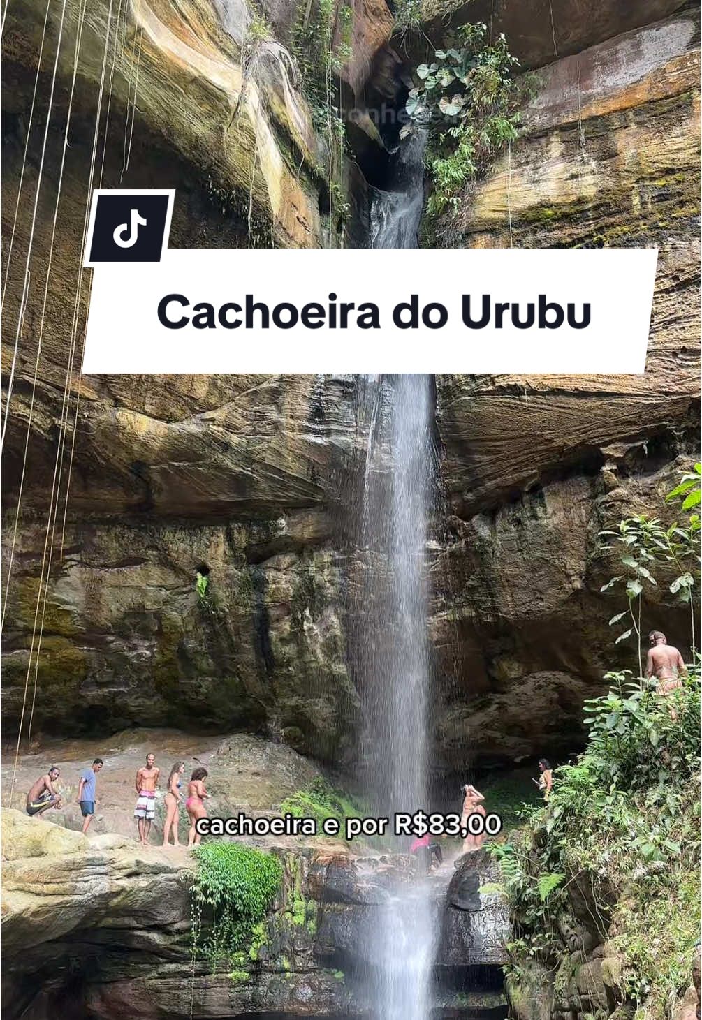 Você conhece essa trilha?  📍Cachoeira do Ururbu + Cânions de Subaé  É uma trilha considerada médio/ difícil pois são no total 10km sendo 6km de ida e 4km de volta.  Fiz ele com a galera da @marques.turismo_ e gostei bastante, os guias são super animados e cuidadosos o tempo todo.  💰Custa R$78,00 a vista (no cartão é R$90,00) + R$5,00 da taxa rodoviária.  ⏰ Saímos de Salvador 7h e retornamos 16h.  📍Passamos pela trilha ecológica, igrejinha, cânions, ponte férrea sobre o Rio Sergi, chuveirinho, Cachoeira vai e vem e Cachoeira do Urubu.  🚨 Não seja o tipo de pessoa que leva uma caixa de som nas alturas no meio de uma cachoeira e traga seu lixo de volta!!!  🥪 Leve seu lanche e água (só irá encontrar estrutura e sinal na volta), protetor e é obrigatório tênis e roupas confortáveis.  Iai gostou da dica? Marca aquela pessoa que precisa fazer esse rolê com você e claro, segue Milena do Vocês Conhecem para mais dicas! ❤️ #rio #bahia #santoamaro #cachoeira #cachoeirasourubu #canions #trilha 
