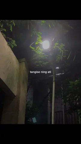 resiko dadi wing elek, dadi sering disepelekno #lyrics #overlay #liriklagu #wongsepele #jawapride 