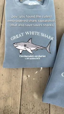 #fyp #sharklover #sharktok #whaleshark #oceanlover  #oceanlife #marinelife #sharks #sharksoftiktok #sharklovers #whalesharks #sharklove #lovesharks #sharklife 