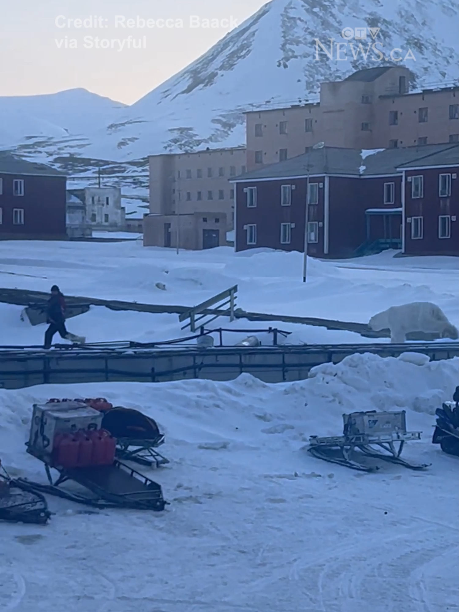 A man chose to drop his gun and try to outrun a charging polar bear on a snowmobile in the Arctic town of Pyramiden on the Norwegian archipelago of Svalbard in late April. Rebecca Baack captured this dramatic video while staying at a hotel during a ski expedition. “I was woken up around midnight with someone saying there was a bear. A staff member was trying to scare it away when the bear charged him,” Baack said. In the video, a man can be seen firing a gun toward a polar bear. Undeterred, the large animal charges toward him. The man then runs away and hops onto a snowmobile. The bear gives chase for a moment, but eventually gives up and sits down. Voices behind the camera can be heard remarking on the man’s bravery. #cp24 #news #toronto