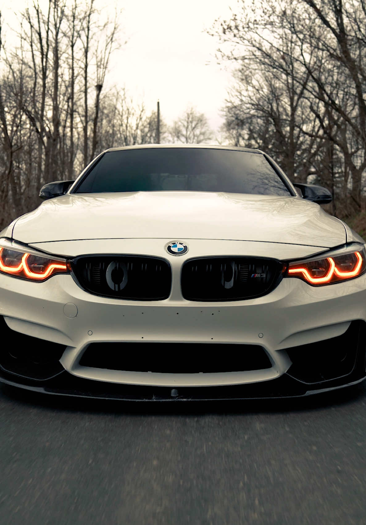 M3 with some allergies 🤧 @Wavy 