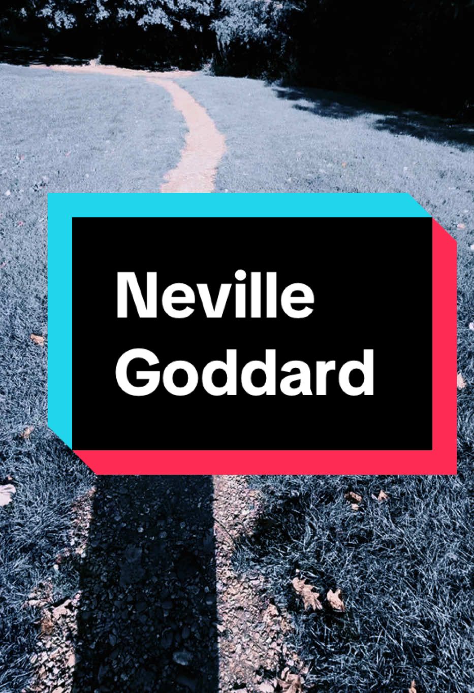 #nevillegoddard #fyp #viralllllll #manifestation #manifest #fu 