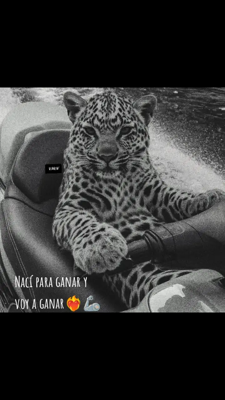 #vibes #fypシ゚ #viraltiktokvideo #vibesss #hyp #viral_video #paratii #fypppppppppppppp 