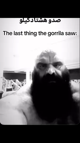 The man that the gorilla lost to 🦍  ||| #100k #100 #100menvs1gorrila #fyp 