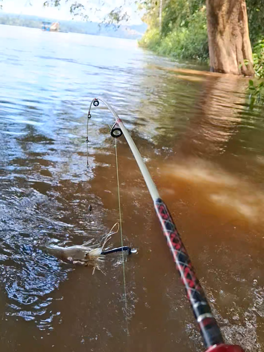 tarikan nya ngeri...🥶 #prawnfishing #udanggalah #capitbiru #monster #fyp 