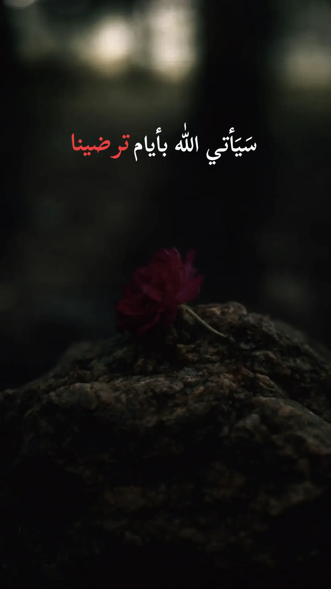 #pyfツmasukberandagak #pyqシvairal🖤tiktok #pyfツviral_❤ #yfpシforyou #yfpシforyou #pypシ #شكرا_على_مشاهدة 