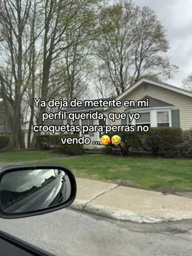 #creatorsearchinsights #paratiiiiiiiiiiiiiiiiiiiiiiiiiiiiiii #dedicar #contenido #indirectas #traumada 