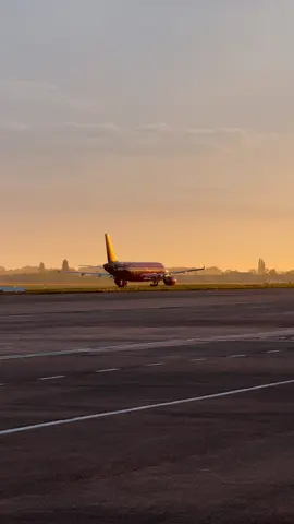 A320 ✈️ #ebbr #bru #aviation #aviationlovers #brusselsairport #morning #morningroutine #plane #planespotting #aircraft #avion #avions #airbus #airbus320 #320 #a #a320 #brussels #brusselsairlines #taxi #crew #pilote #pilot #sun #sunday #sunny #sunrise #sunrisemusic #rise #viralvideos #videoviral #video #trc #✈️ @Brussels Airport @Brussels Airlines ✈️
